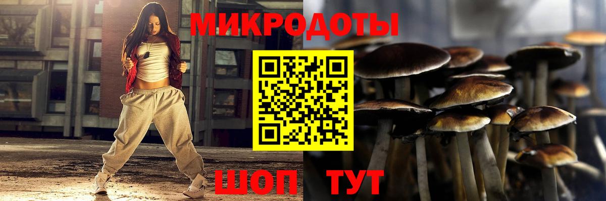 Галлюциногенные грибы ЛСД  Галлюциногенные грибы GOLDEN TEACHER  Гай  Вход с VPN 