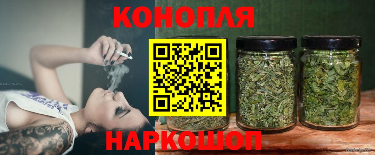 Конопля гибрид Гай